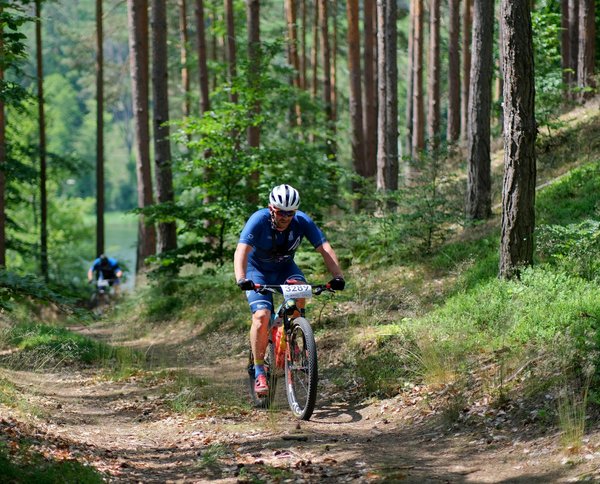 Les meilleures marques de vélo tout terrain
